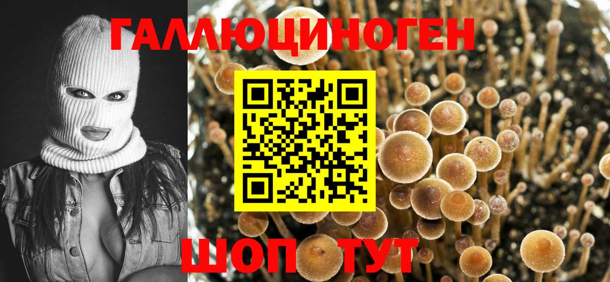 Псилоцибиновые грибы GOLDEN TEACHER Татарск